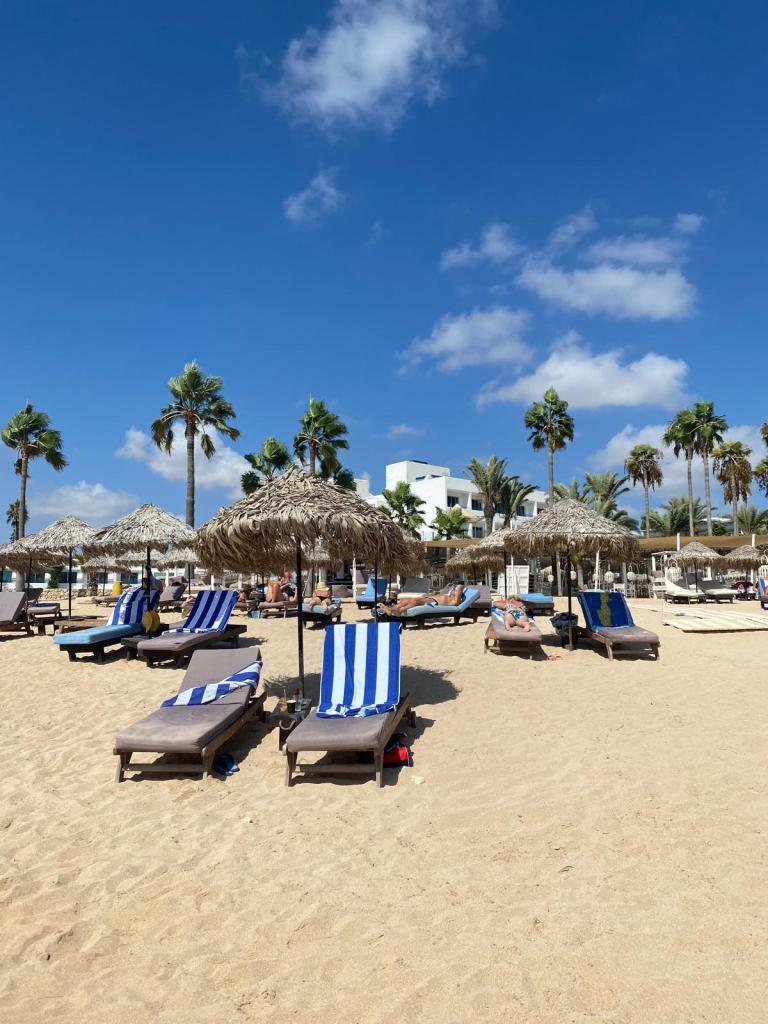 Sun loungers and parasols on a sandy Cyprus beach under a clear blue sky