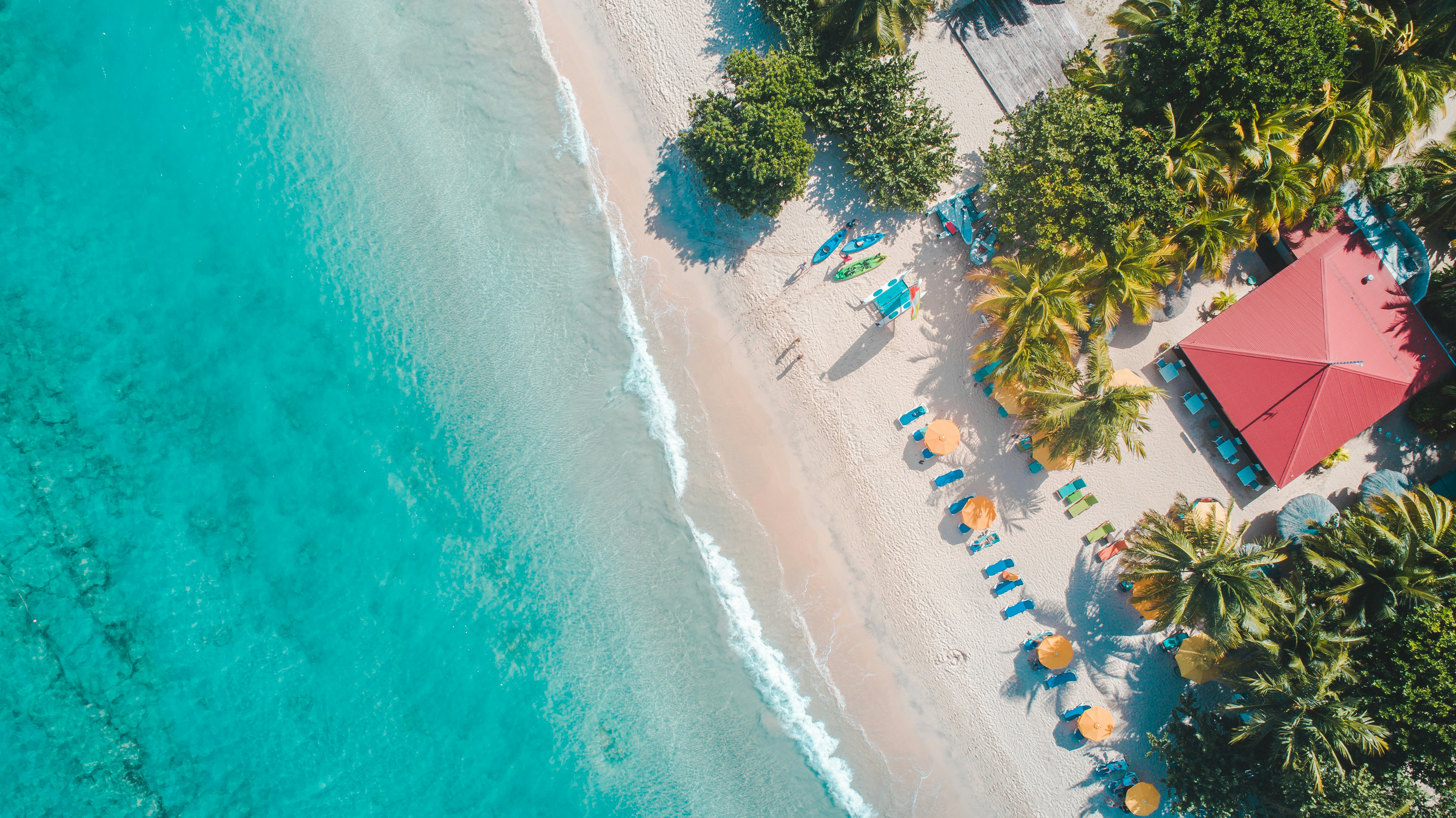 Mauritius beach with palm trees